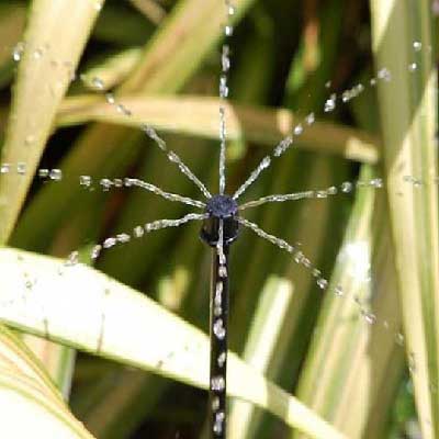 micro-bewaesserung-im-garten